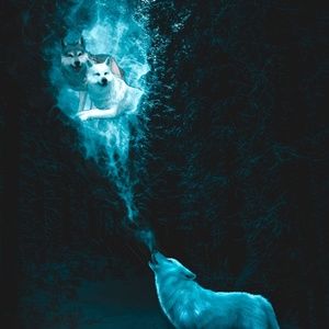 Meet your Posher, Jhamee